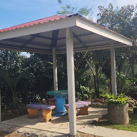 Cabinas El Pilon Rio Celeste Exteriör bild