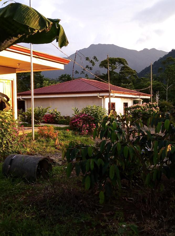 Cabinas El Pilon Rio Celeste Exteriör bild
