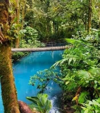 Cabinas El Pilon Rio Celeste Exteriör bild