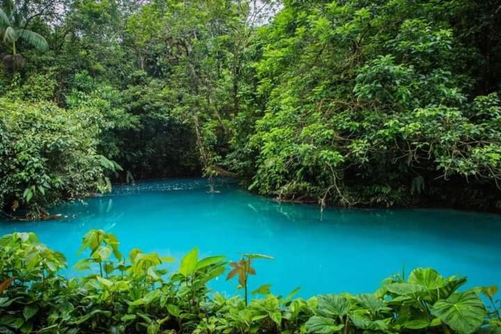 Cabinas El Pilon Rio Celeste Exteriör bild