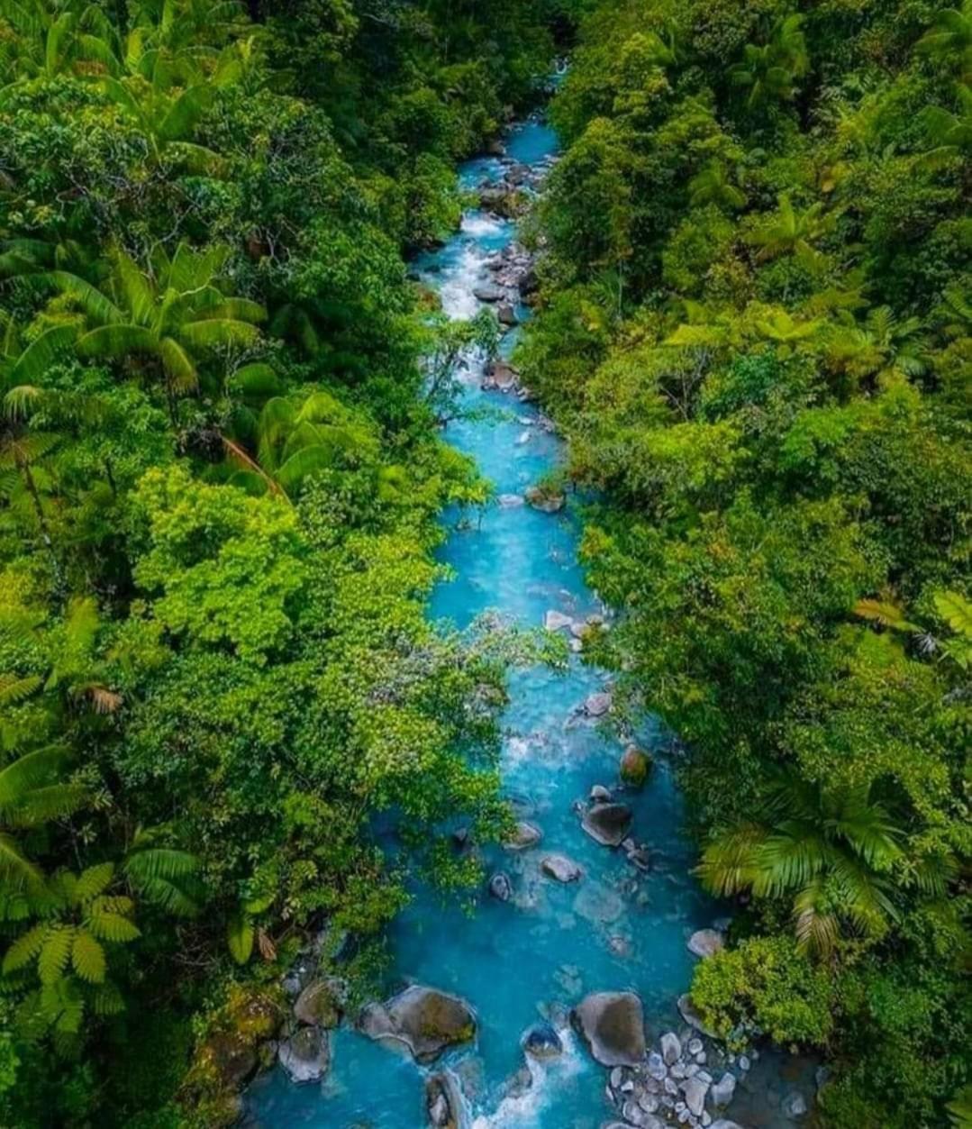 Cabinas El Pilon Rio Celeste Exteriör bild