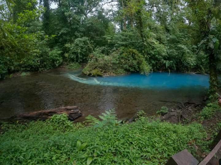 Cabinas El Pilon Rio Celeste Exteriör bild